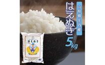 令和6年産[精米]はえぬき 5kg×1袋 AB[庄内米穀]