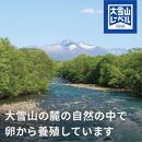 北海道大雪サーモン純米吟醸酒粕漬け９切れ【 小分け サーモン 人気 ギフト お酒 日本酒 純米吟醸酒 加工食品 北海道 大雪 上川町 酒粕漬け 海鮮 グルメ 特産品 地域限定 贈答品 料理用 】