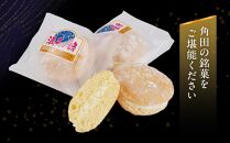 チーズブッセ 満天の詩　15個入り【ささもり 菓子 おかし ブッセ  食品  贈り物 宮城県 名物 銘菓  ふるさとの味 人気 おすすめ 送料無料】