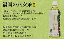 【全6回毎月定期便】八女茶 煎茶ペットボトル 500ml×24本