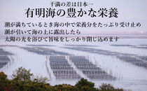 【全3回毎月定期便】焼き海苔&nbsp;福岡有明海苔ボトル4本(10切100枚×4本&nbsp;計400枚)&nbsp;【福岡有明海産】