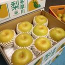 【2025年夏配送】多摩川梨５ｋｇ詰め合わせ