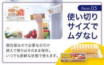 【6か月&nbsp;定期便】切れてる&nbsp;雪印&nbsp;北海道&nbsp;バター（10g×10個入）×10個【&nbsp;乳製品&nbsp;バター&nbsp;雪印&nbsp;朝食&nbsp;ギフト　料理用&nbsp;キャンプ&nbsp;標茶町&nbsp;北海道&nbsp;】