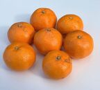 【訳あり】樹上完熟早生みかん&nbsp;2S～2Lサイズ混合&nbsp;約5kg箱込み&nbsp;(約4.5kg入)