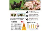 おおいた冠地どり 「コールドハム・むね」 2袋（1袋1枚入）鳥刺し 生ハム_2486R