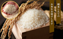 【特Aランク】令和7年&nbsp;北海道産ななつぼし&nbsp;10kg(5kg×2袋)&nbsp;【&nbsp;白米&nbsp;精米&nbsp;ご飯&nbsp;ごはん&nbsp;米&nbsp;お米&nbsp;旭川市ふるさと納税&nbsp;北海道ふるさと納税&nbsp;】&nbsp;_04808