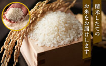 【特Aランク】令和7年&nbsp;北海道産ゆめぴりか&nbsp;10kg(5kg×2袋)&nbsp;【&nbsp;白米&nbsp;精米&nbsp;ご飯&nbsp;ごはん&nbsp;米&nbsp;お米&nbsp;旭川市ふるさと納税&nbsp;北海道ふるさと納税&nbsp;】&nbsp;_04806