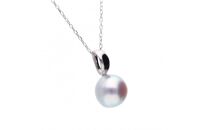 【響】&nbsp;無調色&nbsp;ウルトラスカイブルー&nbsp;アコヤ真珠（日本）&nbsp;8.0mm&nbsp;セミラウンド&nbsp;Pt900&nbsp;プラチナ&nbsp;ペンダントトップ