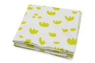 ◇紀州桧弁当箱&nbsp;タイプ2&nbsp;NA&nbsp;ナノコート&nbsp;弁当包みセット【オハナ】【TN115】