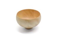 B.C.水目桜&nbsp;TSUBO&nbsp;NA/BR&nbsp;セット【TN190】