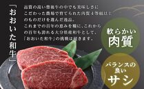 おおいた和牛&nbsp;ヒレステーキ&nbsp;600g（150g×4枚）