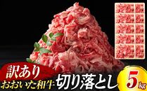 訳あり！おおいた和牛 切り落とし 5kg（500g×10p）