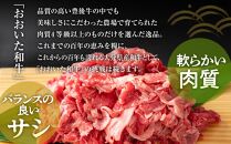 訳あり！おおいた和牛 切り落とし 5kg（500g×10p）