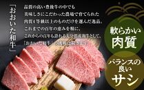 【定期便 全3回】おおいた和牛 焼肉用 500g