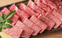 【定期便 全3回】おおいた和牛 焼肉用 500g