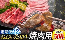【定期便 全12回】おおいた和牛 焼肉用 500g