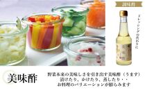 お料理上手セットB (美味酢・酢飲柚子・酢飲ブルーベリー・万能くろ酢たれ)