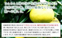 然-しかり-&nbsp;ぼんたんクレンジング