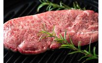 博多和牛【A4～A5】ステーキ部位食べ比べ3種（ヒレ150g×2枚、ミスジ100ｇ×2枚、モモ100ｇ×2枚）計700ｇ