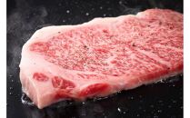 【定期便全12回】博多和牛【A4～A5】（ヒレ150g＆サーロイン250g）　各1枚　計400g