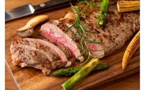 【定期便全12回】博多和牛【A4～A5】ヒレ150g＆サーロイン250g各2枚計800g