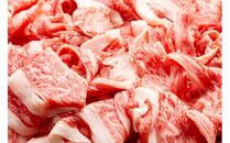 【定期便全3回】博多和牛A4ランク以上切り落とし　訳あり！　400g