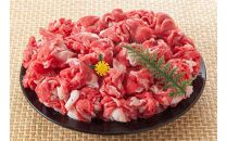 【定期便全6回】博多和牛A4ランク以上切り落とし　訳あり！　400g