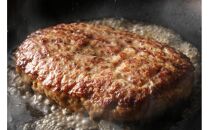 【定期便全6回】博多和牛100％ミンチ（挽肉）【訳あり】600g（300g×2個）