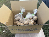 ＜標茶高校生から愛を込めて万能野菜のじゃがいもをお届けします＞ジャガイモ3種類　計5kg（とうや、きたあかり、メークイーン）【&nbsp;野菜&nbsp;じゃがいも&nbsp;とうや&nbsp;きたあかり&nbsp;メークイン&nbsp;標茶高校創生ゼミ&nbsp;標茶町&nbsp;北海道&nbsp;】