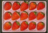 岡山市産&nbsp;いちご&nbsp;15粒（約350g）種類おまかせ