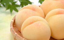 【定期便2回】白桃&nbsp;5～7玉&nbsp;約1.2kg（7月発送）・&nbsp;ニューピオーネ&nbsp;2房&nbsp;約950g（9月発送）【定期便&nbsp;白桃&nbsp;桃&nbsp;もも&nbsp;モモ&nbsp;ニューピオーネ&nbsp;葡萄&nbsp;ぶどう&nbsp;ブドウ&nbsp;果物&nbsp;フルーツ&nbsp;岡山県&nbsp;岡山市&nbsp;おすすめ&nbsp;人気】
