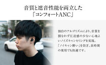 ANC完全ワイヤレスイヤホン&nbsp;final&nbsp;ZE3000&nbsp;SV&nbsp;ZE3000後継機&nbsp;/ノイズキャンセリング/ノイキャン/外音取り込み/マイク付き