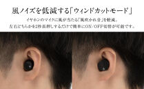 ANC完全ワイヤレスイヤホン&nbsp;final&nbsp;ZE3000&nbsp;SV&nbsp;ZE3000後継機&nbsp;/ノイズキャンセリング/ノイキャン/外音取り込み/マイク付き