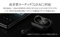 ANC完全ワイヤレスイヤホン&nbsp;final&nbsp;ZE3000&nbsp;SV&nbsp;ZE3000後継機&nbsp;/ノイズキャンセリング/ノイキャン/外音取り込み/マイク付き