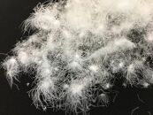 羽毛ふとん（抗菌加工）　スーパーマイクロ　超軽量素材使用　クイーン（２２０ｃｍ×２１０ｃｍ）　羽毛布団