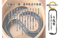 【全４回】炭焼うな富士 国産特大青うなぎ長焼二尾入り　定期便