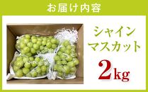 ＜先行予約＞内子町産　朝どりシャインマスカット （2kg）【2025年8月下旬以降発送】