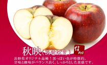 ＜25年発送 先行予約＞長野県産 りんご 秋映 訳あり 約2kg リンゴ 旬 フルーツ 訳アリ 林檎 果物 規格外 自家用 産地直送 農園 産直 お取り寄せ もぎたて 採れたて 送料無料 堀田農園 信州 大町市