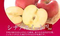 ＜25年発送 先行予約＞長野県産 りんご シナノスイート 訳あり 約2kg リンゴ 旬 フルーツ 訳アリ 林檎 果物 規格外 自家用 産地直送 農園 産直 お取り寄せ もぎたて 採れたて 送料無料 堀田農園 信州 大町市