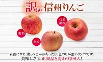 ＜25年発送 先行予約＞長野県産 りんご シナノホッペ 訳あり 約2kg リンゴ 旬 フルーツ 訳アリ 林檎 果物 規格外 自家用 産地直送 農園 産直 お取り寄せ もぎたて 採れたて 送料無料 堀田農園 信州 大町市