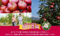 ＜25年発送 先行予約＞長野県産 りんご シナノホッペ 訳あり 約2kg リンゴ 旬 フルーツ 訳アリ 林檎 果物 規格外 自家用 産地直送 農園 産直 お取り寄せ もぎたて 採れたて 送料無料 堀田農園 信州 大町市