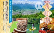 ＜25年発送 先行予約＞長野県産 りんご シナノホッペ 訳あり 約2kg リンゴ 旬 フルーツ 訳アリ 林檎 果物 規格外 自家用 産地直送 農園 産直 お取り寄せ もぎたて 採れたて 送料無料 堀田農園 信州 大町市