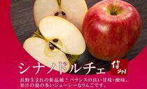 ＜25年発送 先行予約＞長野県産 りんご シナノドルチェ 訳あり 約2kg リンゴ 旬 フルーツ 訳アリ 林檎 果物 規格外 自家用 産地直送 農園 産直 お取り寄せ もぎたて 採れたて 送料無料 堀田農園 信州 大町市