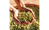 氷温熟成生coffee(6ヶ月熟成)：30g　熟成コーヒー　生コーヒー　グリーンコーヒー