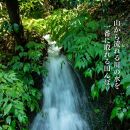 新潟県佐渡産&nbsp;令和7年産&nbsp;【在来コシヒカリ】&nbsp;玄米&nbsp;5kg