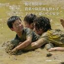 新潟県佐渡産&nbsp;令和7年産&nbsp;【在来コシヒカリ】&nbsp;玄米&nbsp;5kg