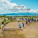 新潟県佐渡産&nbsp;令和7年産&nbsp;【在来コシヒカリ】&nbsp;玄米&nbsp;5kg