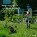 新潟県佐渡産&nbsp;令和7年産&nbsp;【在来コシヒカリ】&nbsp;玄米&nbsp;5kg