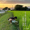 新潟県佐渡産&nbsp;令和7年産&nbsp;【在来コシヒカリ】&nbsp;玄米&nbsp;5kg