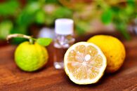 ☆限定パッケージ☆【九頭龍シャンプー】（500ml）「身体の美」「心の美」「行動の美」の3つの美に注目した全身洗えるシャンプー&nbsp;|&nbsp;美容&nbsp;シャンプー&nbsp;ヘアケア&nbsp;美容シャンプー&nbsp;髪&nbsp;スキンケア&nbsp;日用品&nbsp;人気&nbsp;おすすめ&nbsp;プレゼント&nbsp;ギフト&nbsp;保湿&nbsp;頭皮ケア&nbsp;子供用&nbsp;敏感肌用&nbsp;オーガニック&nbsp;送料無料&nbsp;神奈川&nbsp;箱根